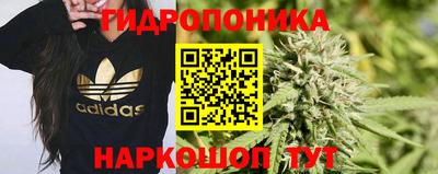 прущие крисы Ачхой-Мартан