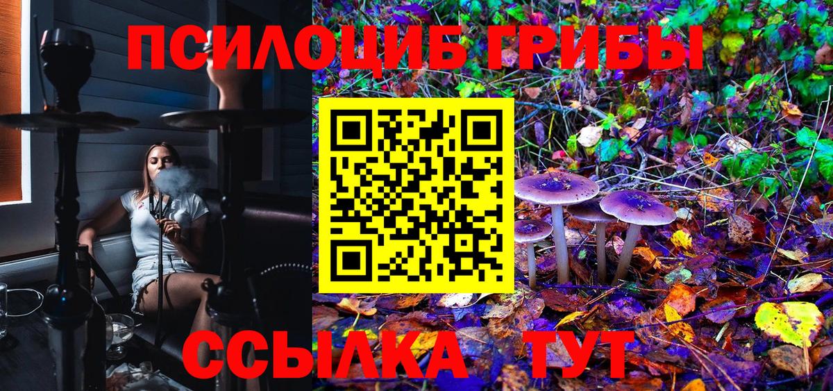 Боровичи  Псилоцибиновые грибы Psilocybine cubensis  Псилоцибиновые грибы Psilocybe  Вход с VPN 